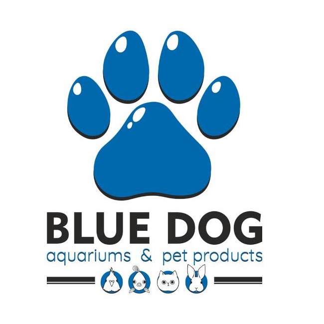 bluedog petshop aquariums thessaloniki