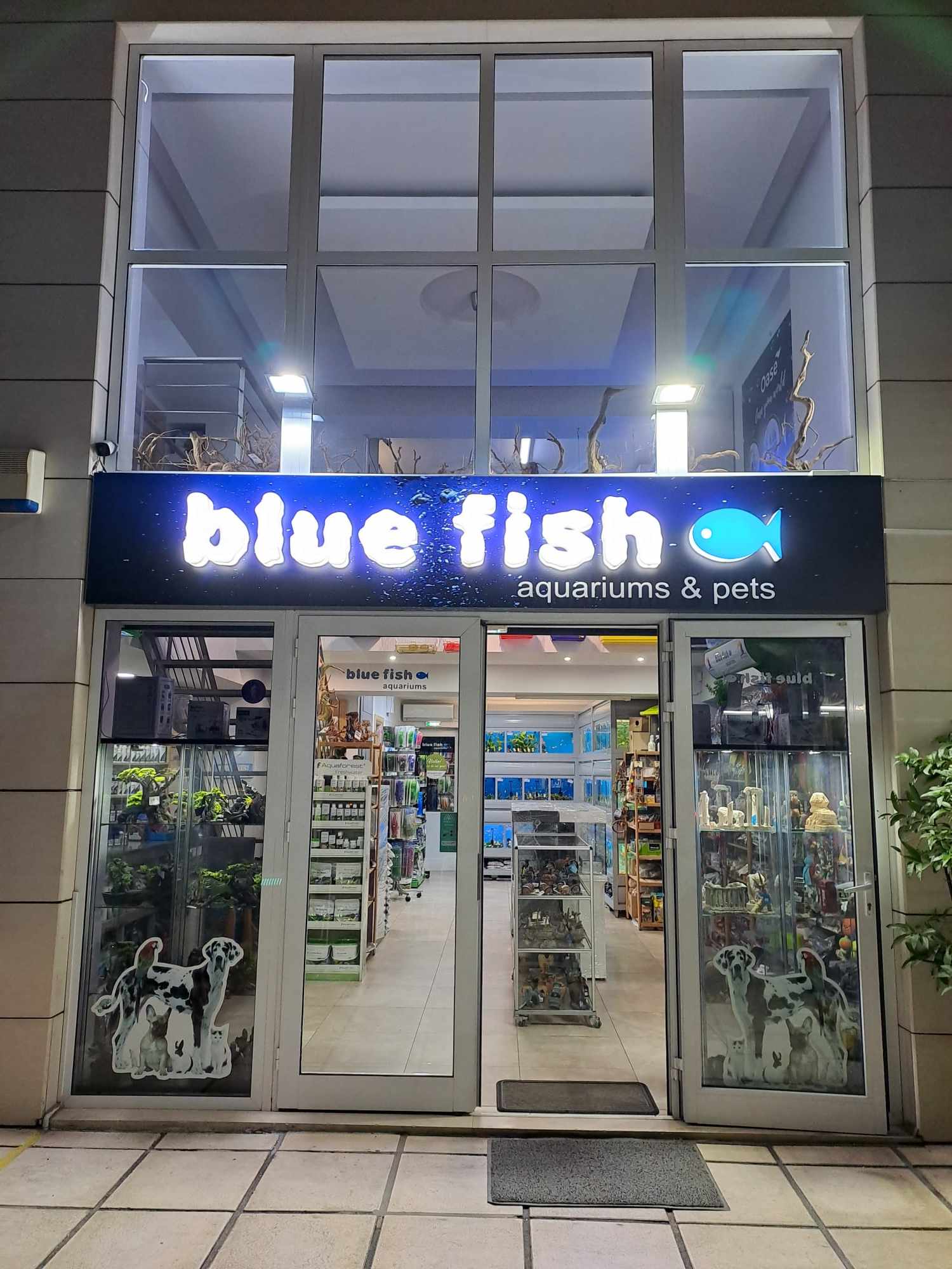 bluefish aquariums enydreia thessaloniki