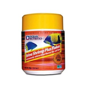 brine-shrimp-plus5
