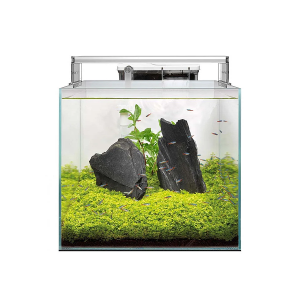 enydreio-superfish-scaper-qube-60-bluefish-aquariums