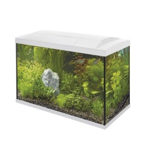 superfish-start-70-tropical-tank-set-white