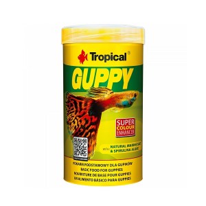 tropical-guppy-100ml-bluefish-aquariums1